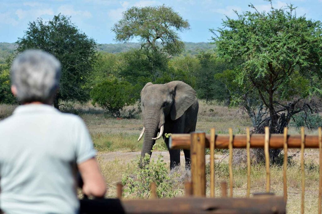 Boomhutkamp accommodatie Greater Kruger Nationaal Park