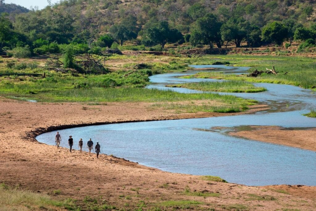 Wandelsafari langs de rivier