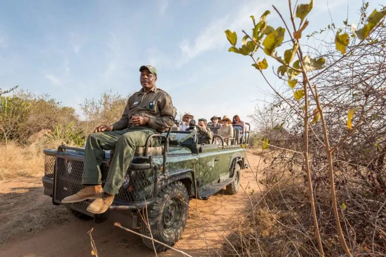 Game Drive Africa on Foot