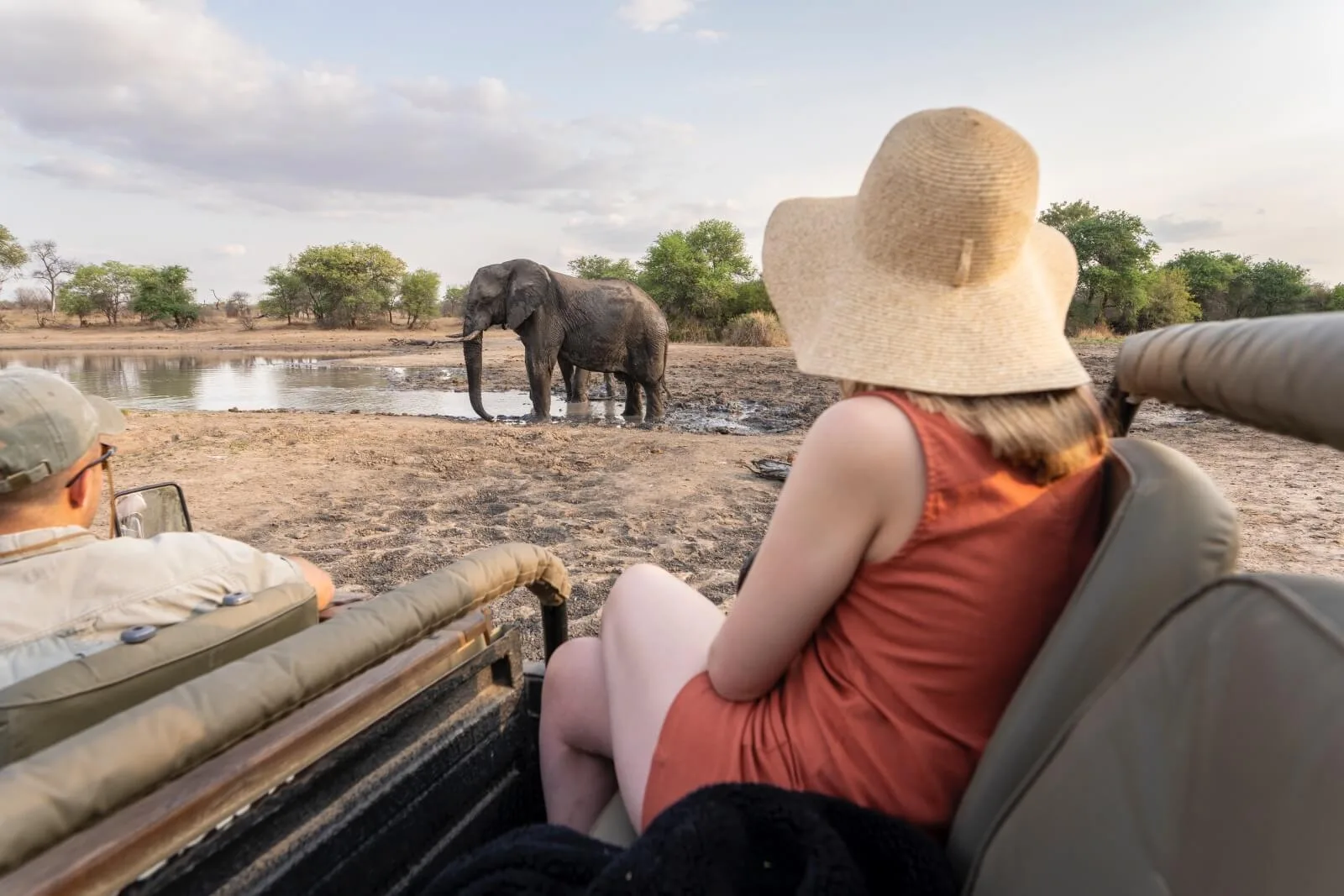 Game Drive met olifant