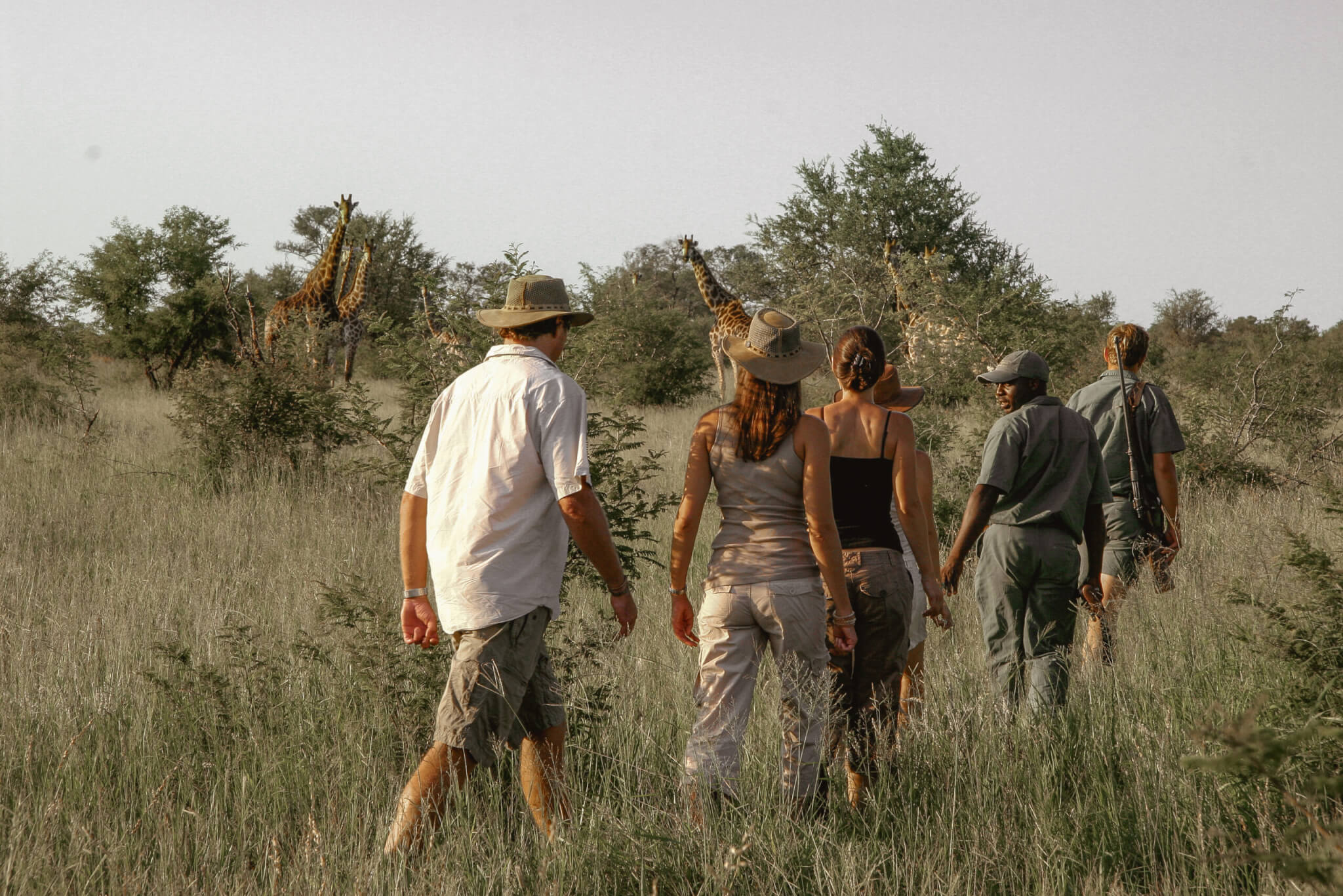Wild Wanderer Safaris