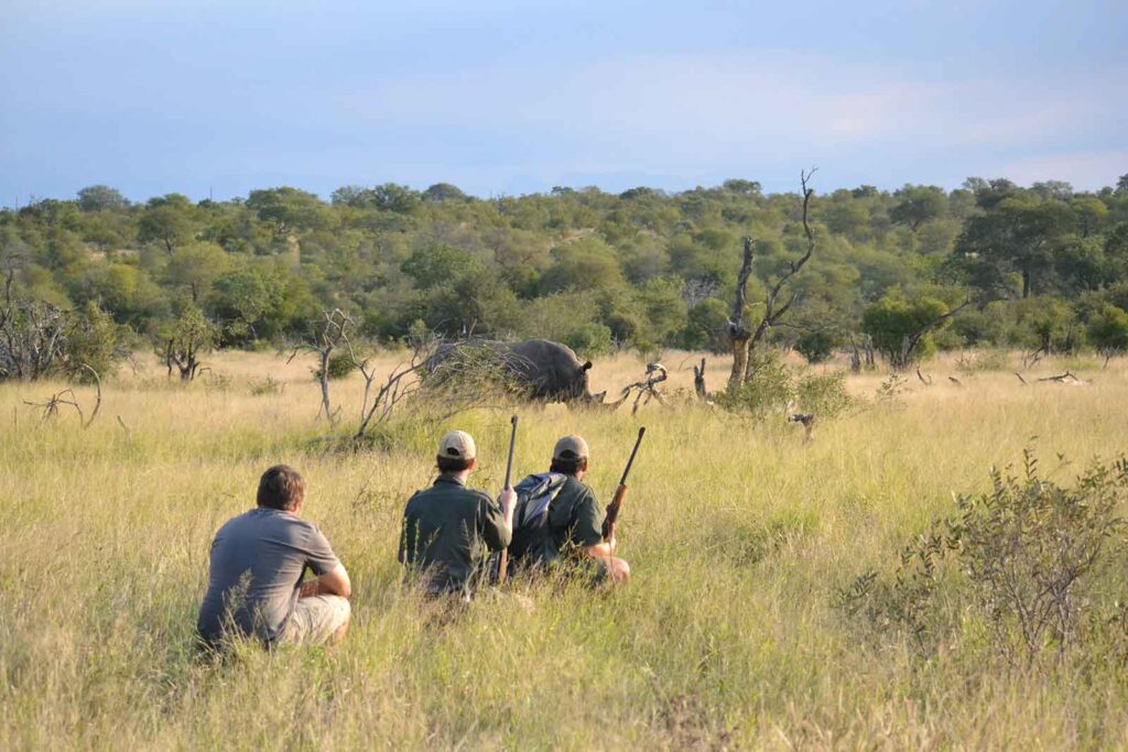 Wandelsafari neushoorn