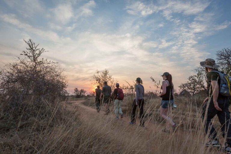 Wandelsafari Africa on Foot