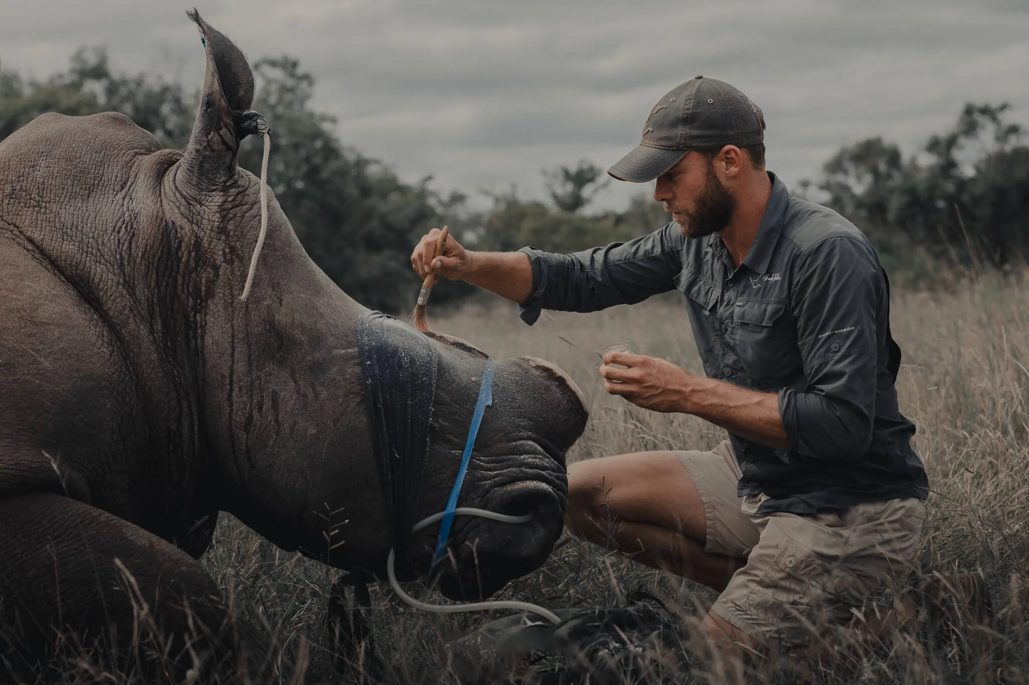 Conservation safari
