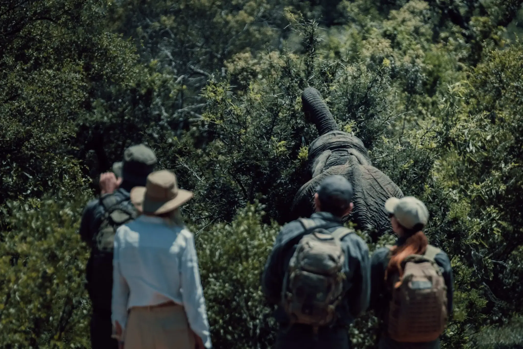 wandelsafari met olifant
