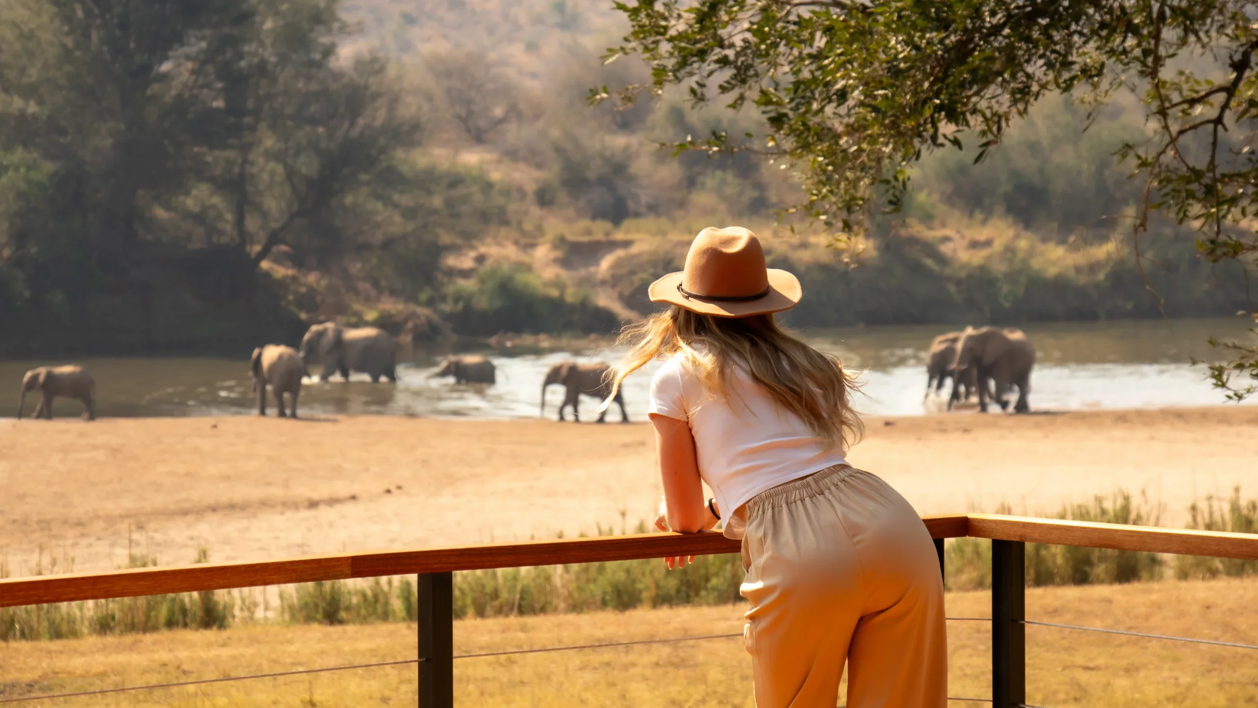 Wandel-en Conservation Safari