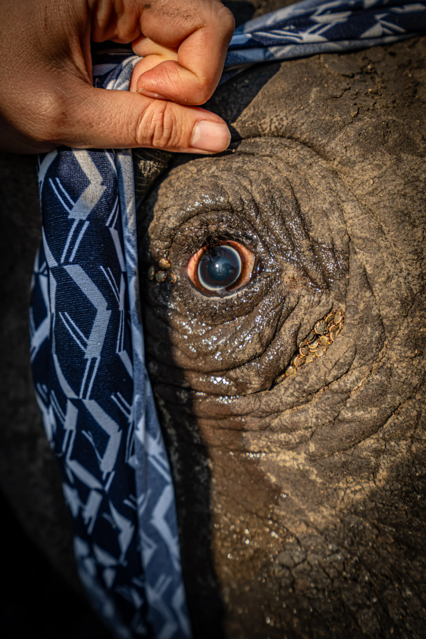 Wild Wonderful World-104 (2)