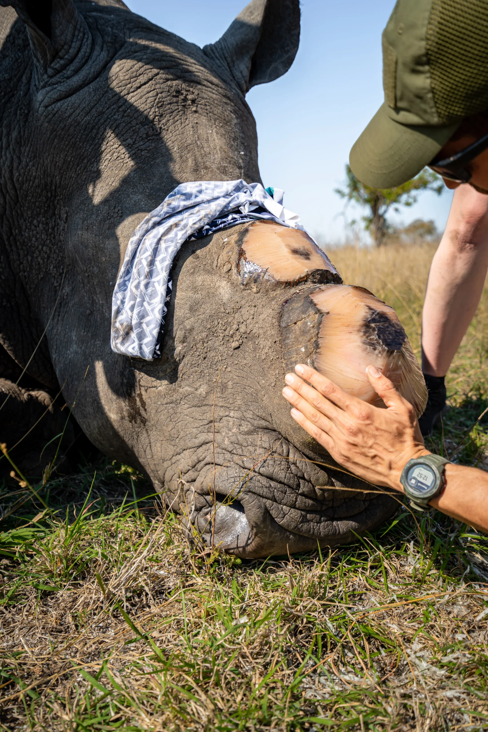 Wild Wonderful World-3 (2)