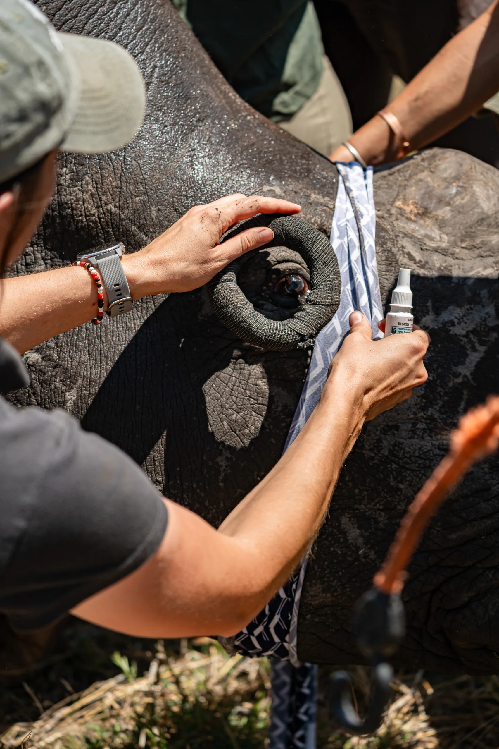 Wild Wonderful World-38