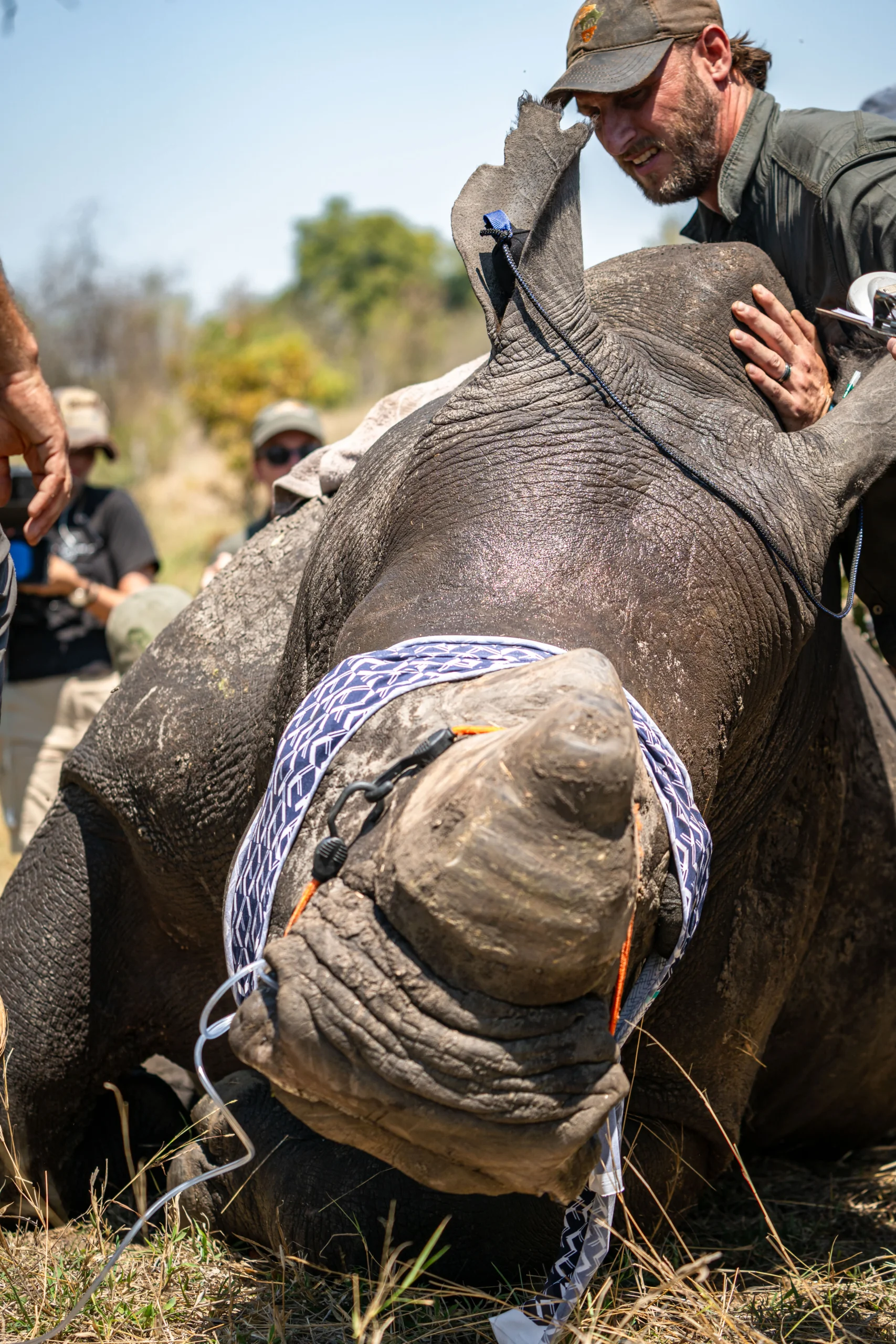 Wild Wonderful World-39