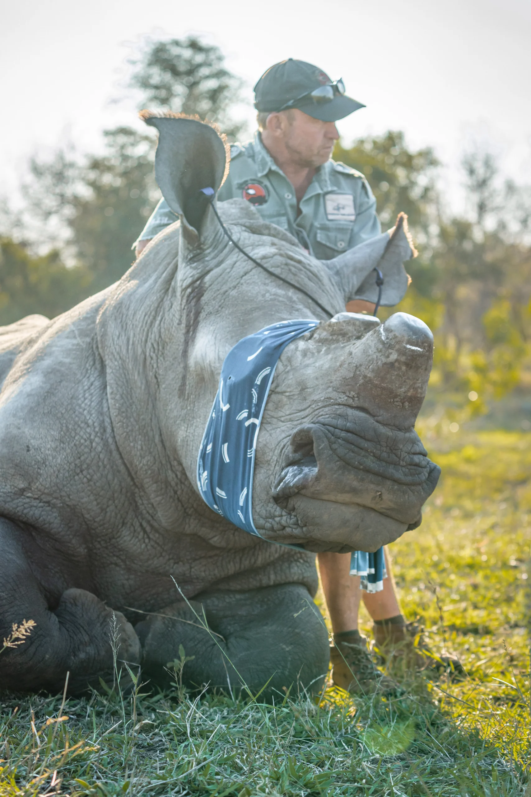 Wild Wonderful World-54