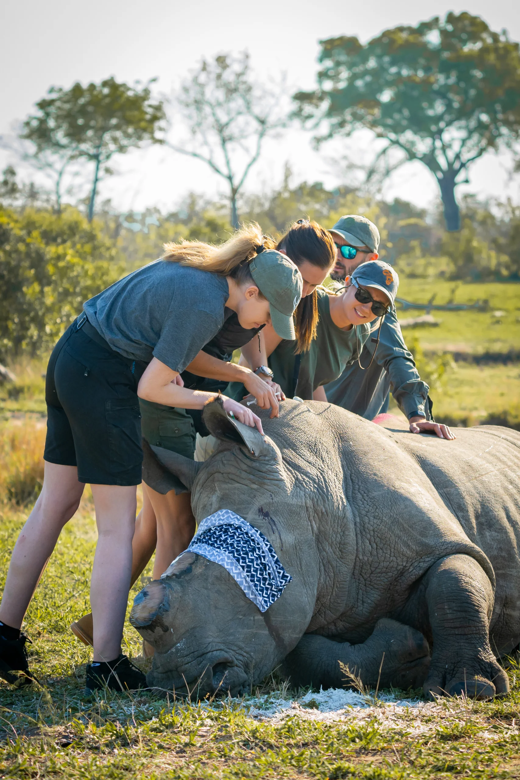 Wild Wonderful World-63