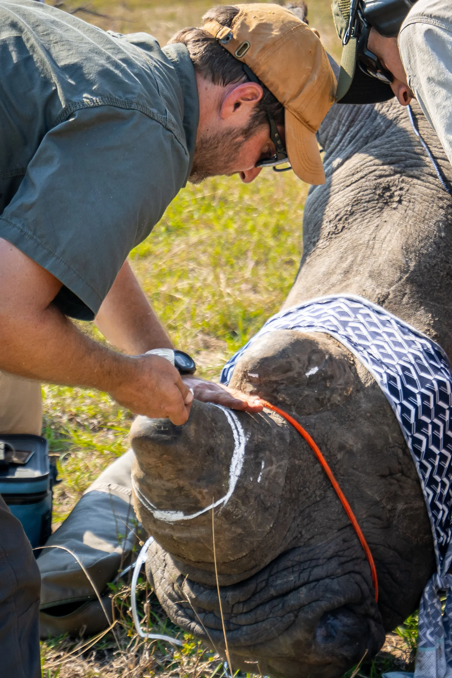 Wild Wonderful World-83