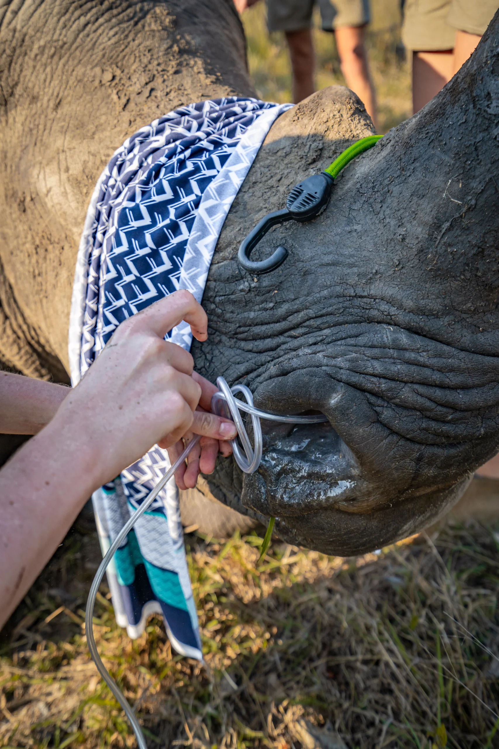 Wild Wonderful World-91