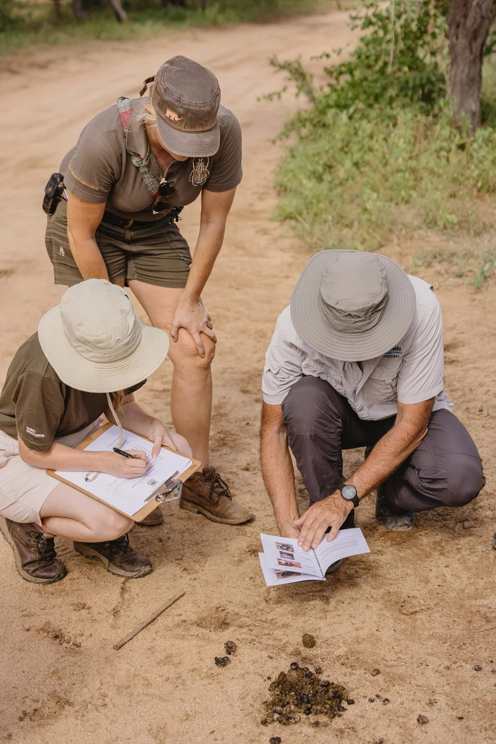 Rhino Monitoring Experience