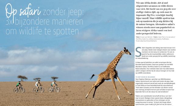 Reisbizz artikel